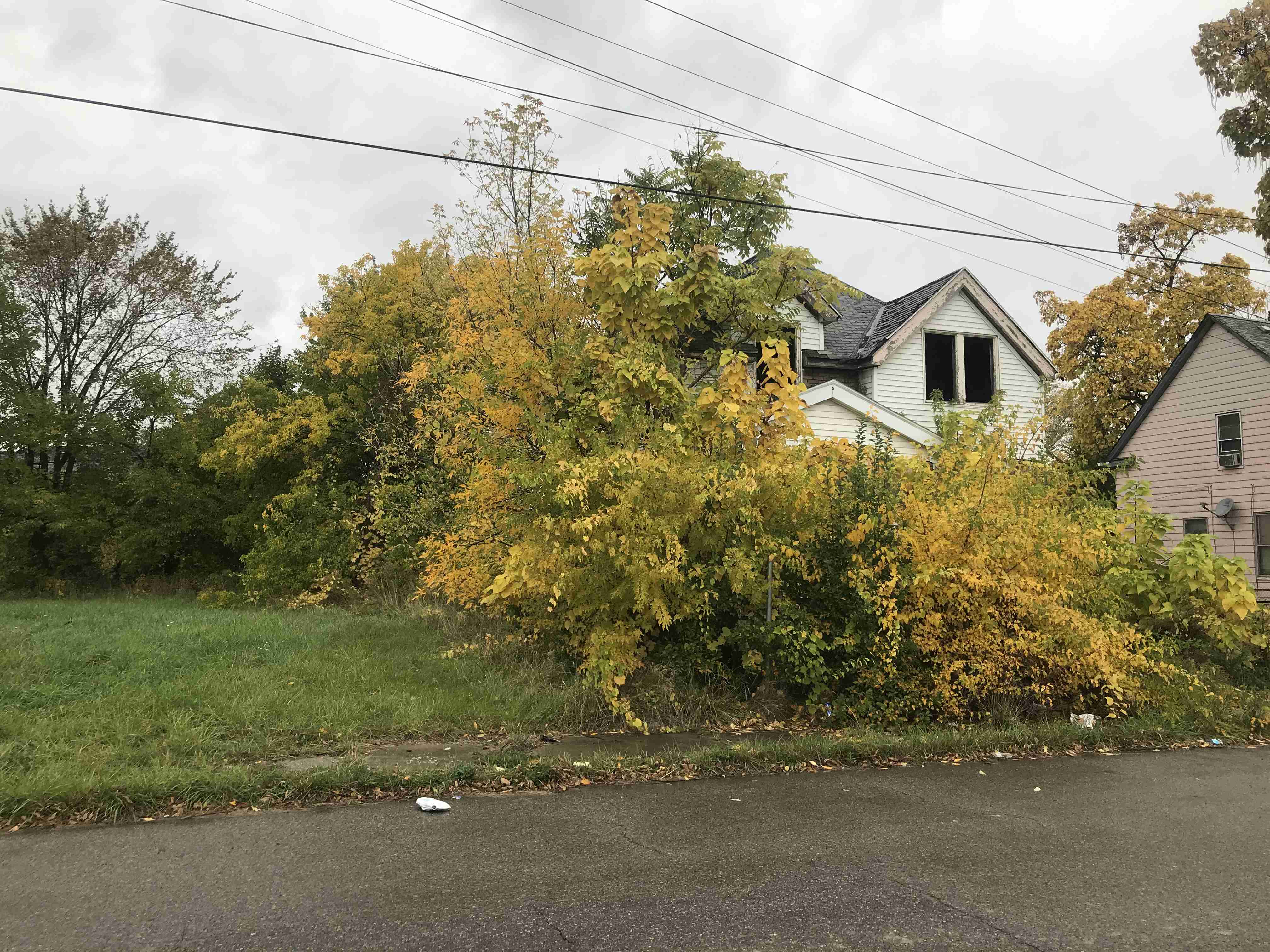 Photo Oct 15, 10 42 21 AM.jpg